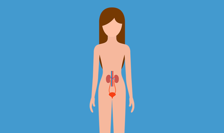 Urologistas também cuidam da saúde da mulher