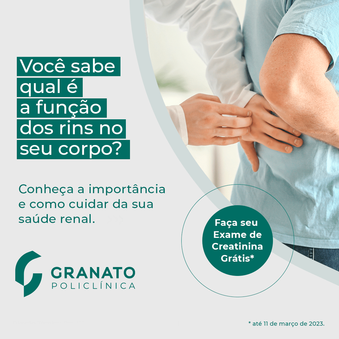 Você sabe qual é a função dos rins no seu corpo?